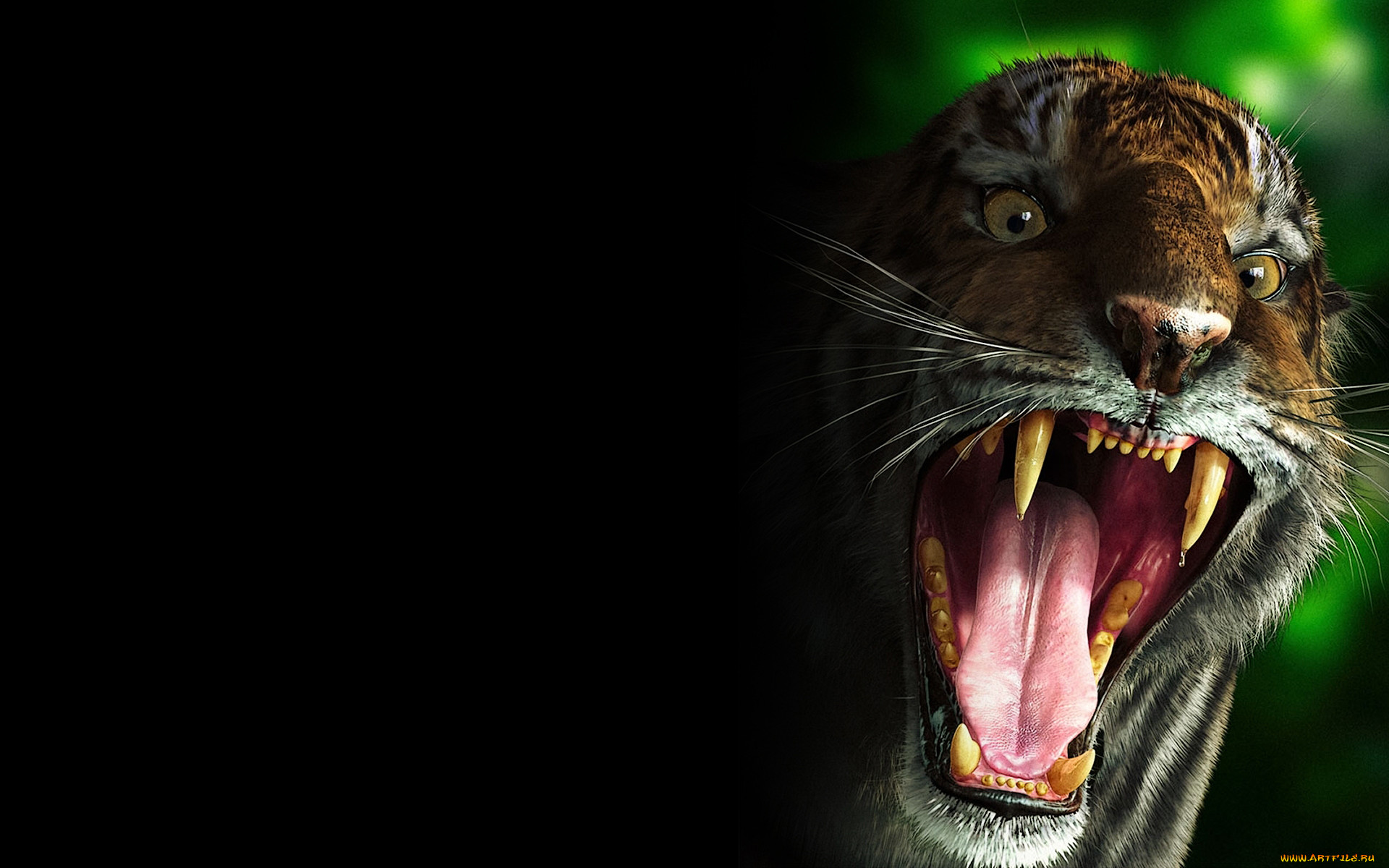 the, tiger, by, seva, verbitsky, , 